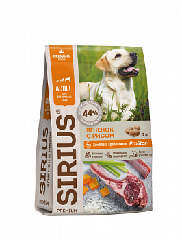 Sirius_jams_ris