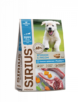 Sirius_puppy_jams_ris