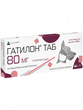 Гатилон 80 мг 10 таб, упаковка