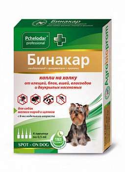 binakar_small_dog