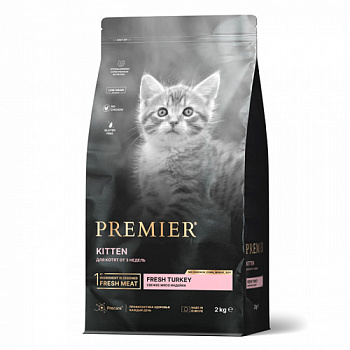 P_kitten_2_kg