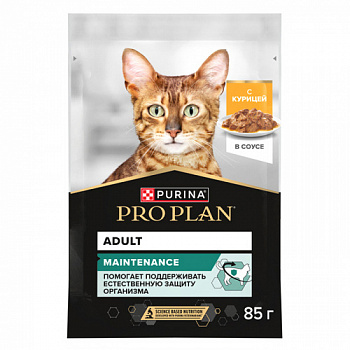 PP_adult_chiken