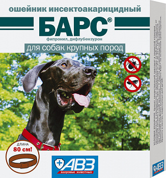 bars_osh_2