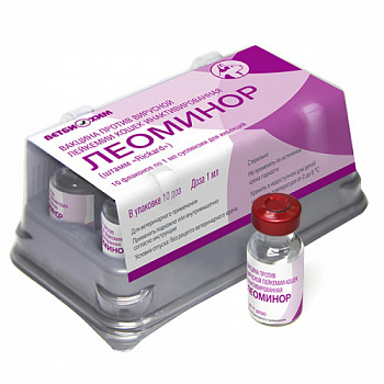 Leominor