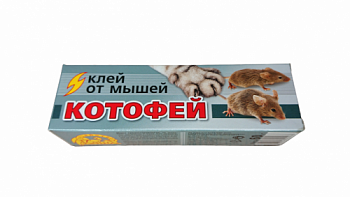 kotofey_60_g-removebg