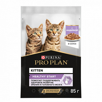 PP_kitten_turkey_85