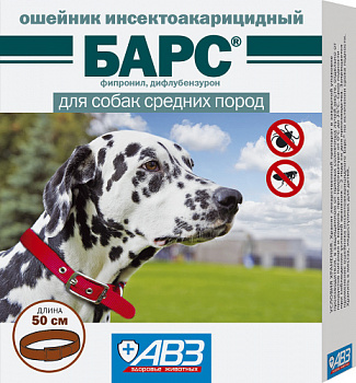 bars_osh_3