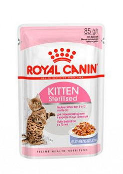 D_Kitten-sterilised-in-jelly