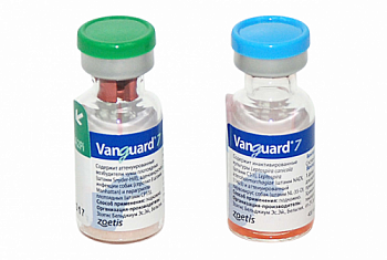 vangard_7