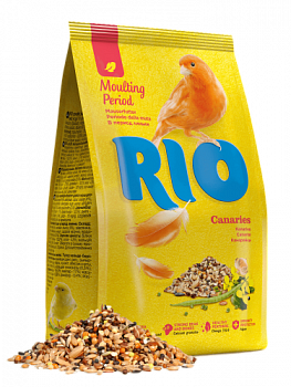 Rio_canaries_moulting_period