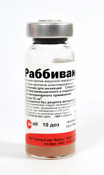 rabbivak_v