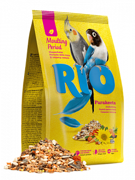 Rio_parakeets_mouling_Perion