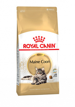 E_Maine-Coon