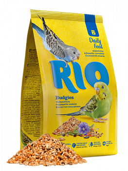 Rio_budgies