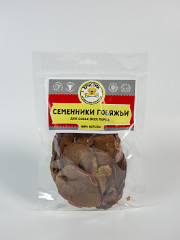семенники