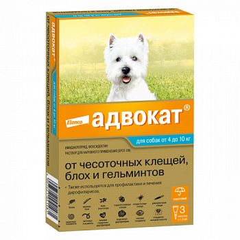 advokat_dog_4_10_kg
