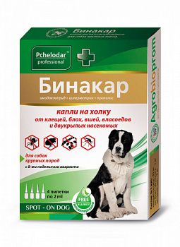 binakar_big_dog