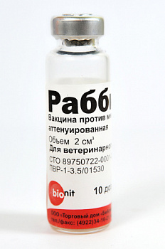 rabbivak_b