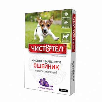 chistotel_maksimum_sobaki_chern