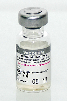 vacdrem