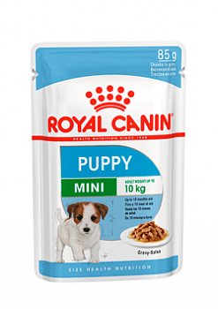 I_Mini-Puppy-pouch