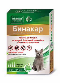 binakar_cat