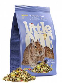 Littl_one_degus