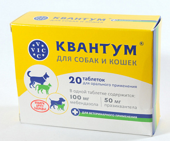 Квантум