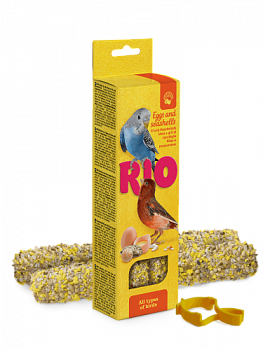 Rio_all_types_of_birds