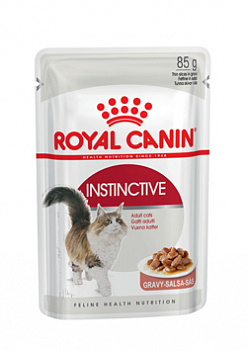 D_Instinctive-in-gravy